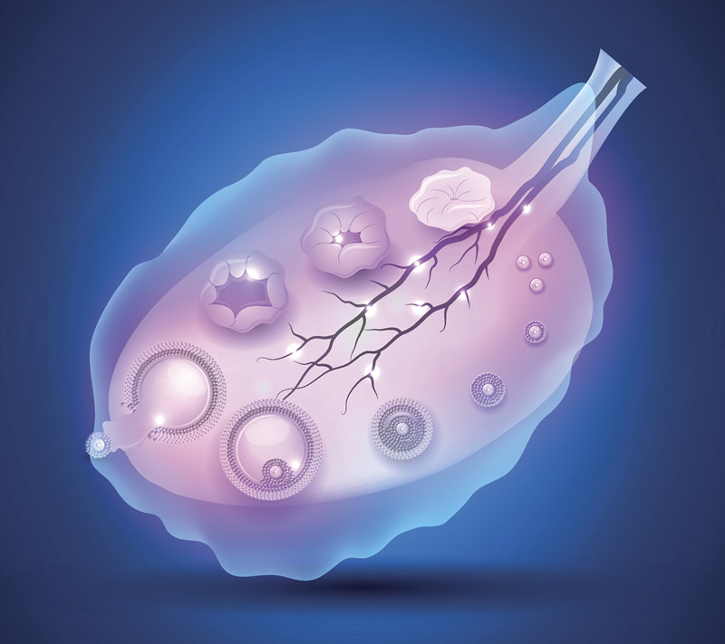 2026年昆明56岁以上试管婴儿医院推荐与费用详解：附高龄备孕真实经验分享